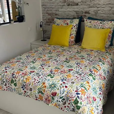 Nouveau Au Coeur Des Cordiers ! Quartier Historique Lejlighed Le Tréport